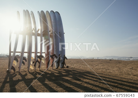 Several long boards for surfing standing on beach 67559143