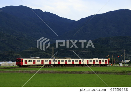 Chikuhi Line 103 series (one-man operation) that goes through the countryside 67559488
