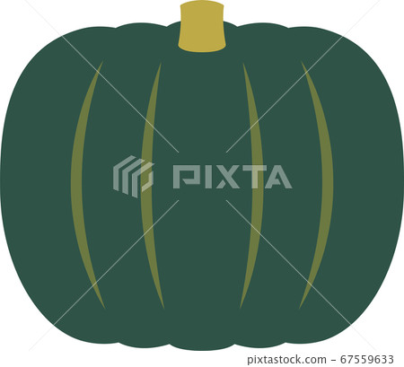 Pumpkin illustration Pumpkin illustration 67559633