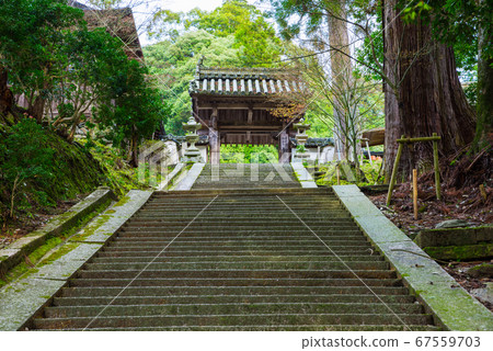 Ruyorinji Temple Gate and Stone Stairs (Yoshinoyama, Yoshino-cho, Yoshino-gun, Nara) April 2020 Ruyorinji Temple Gate and Stone Stairs (Yoshinoyama, Yoshino-cho, Yoshino-gun, Nara) April 2020 67559703