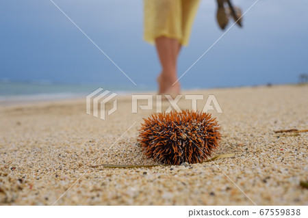 A man walks along the beach and is about to step 67559838