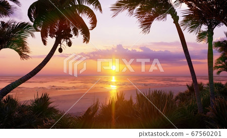 Amazing beautiful sunset over the endless ocean. Blue sky, yellow sun, palm trees, endless ocean and seascape. Summer, beautiful sunset on the sea coasts. 3D Rendering Amazing beautiful sunset over the endless ocean. Blue sky, yellow sun, palm trees, endless ocean and seascape. Summer, beautiful sunset on the sea coasts. 3D Rendering 67560201