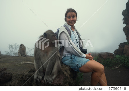 Caucasian woman in a shorts sitting near monkey. Caucasian woman in a shorts sitting near monkey. 67560346