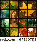 Autumn Theme 67560754