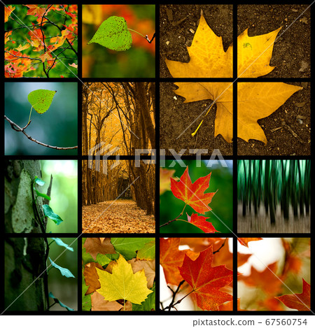 Autumn Theme Autumn Theme 67560754