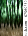Green Forest 67560759