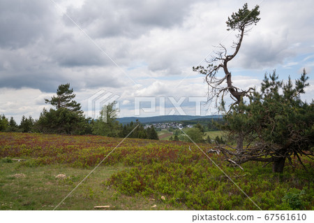 Landscape on Kahler Asten, Sauerland region, Landscape on Kahler Asten, Sauerland region, 67561610
