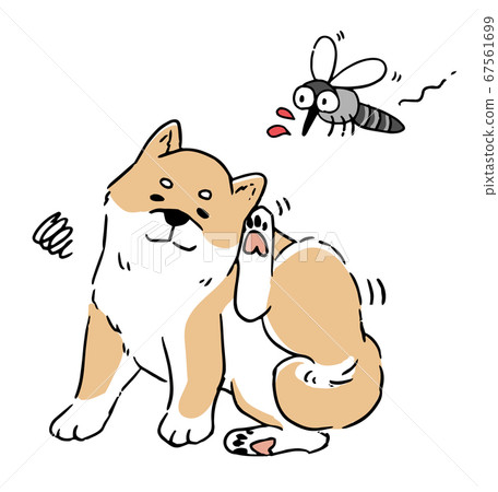 Line art illustration set of mosquitoes and shiba inu with itchy ears 67561699