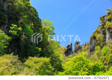 Fresh green Yabakei Ichimoku eight views Meotoiwa in sunny May 67562071