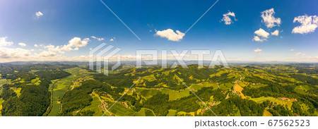 Aerial panorama of of green hills and vineyards Aerial panorama of of green hills and vineyards 67562523