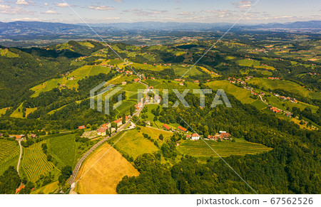 Aerial view of green hills and vineyards with Aerial view of green hills and vineyards with 67562526