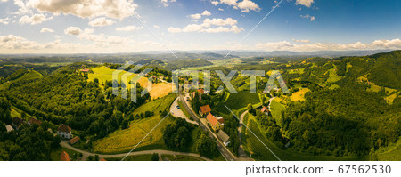 Aerial panorama of of green hills and vineyards Aerial panorama of of green hills and vineyards 67562530