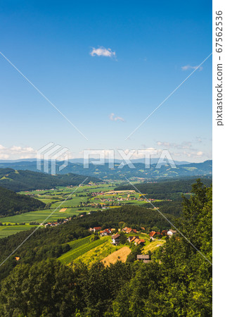 Vineyard on Austrian countryside. Landscape of Vineyard on Austrian countryside. Landscape of 67562536