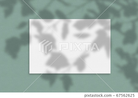 Mockup of a paper card with organic shadow Mockup of a paper card with organic shadow 67562625