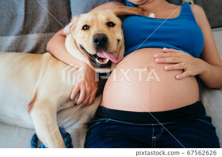 Young Pregnant Woman Lying On Bed With Dog 67562626