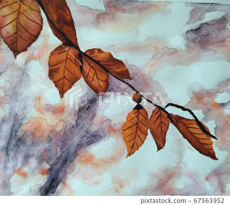 autumn autumn 67563952