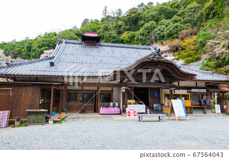 Reception of Ruyorinji Temple (Mt. Yoshino, Yoshino-cho, Yoshino-gun, Nara) April 2020 Reception of Ruyorinji Temple (Mt. Yoshino, Yoshino-cho, Yoshino-gun, Nara) April 2020 67564043