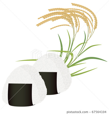 rice ball rice ball 67564104