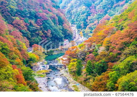 夕張溫泉在秋天的顏色 夕張溫泉在秋天的顏色 67564476