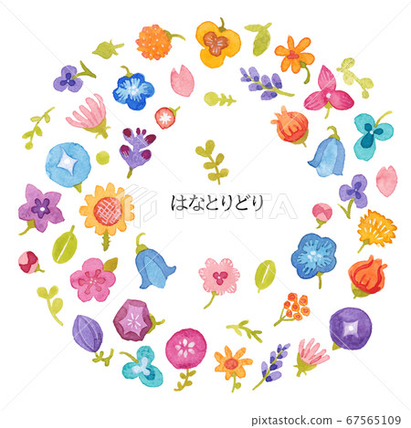 Flowers Flowers 67565109