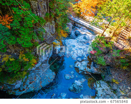 Autumn leaves of the Mitarai Valley Autumn leaves of the Mitarai Valley 67565848
