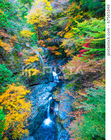 禦寒井谷的秋葉 禦寒井谷的秋葉 67565849