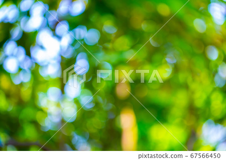 [背景材料]綠色圓形散景閃光球 67566450