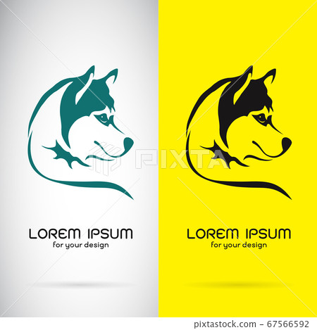 Vector of a dog siberian husky design. Animals. Vector of a dog siberian husky design. Animals. 67566592