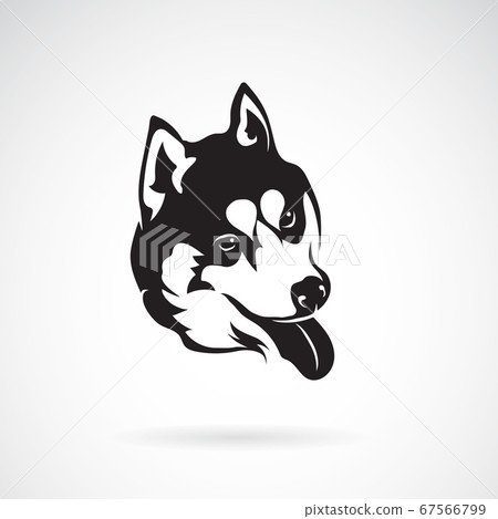 Vector image of a dog siberian husky. Animals. 67566799