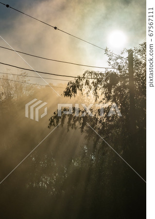 Kanoyama Kujukutani Observation Park Morning view 67567111