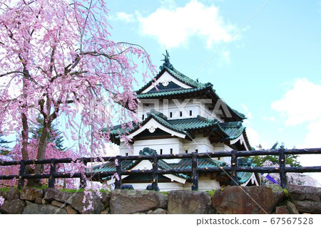 Michinoku's Famous Castle Hirosaki Castle Collaborating with Sakura Michinoku's Famous Castle Hirosaki Castle Collaborating with Sakura 67567528