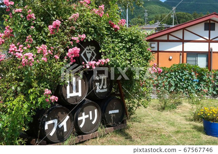 Yamabe Winery 67567746