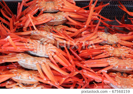 Red snow crab sold on the market 67568159