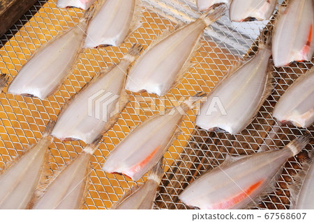 Dried dried fish on the market Dried dried fish on the market 67568607