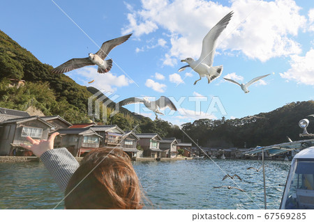 京都府秋天的Ine鎮Inno之Funaya場館出租車 67569285