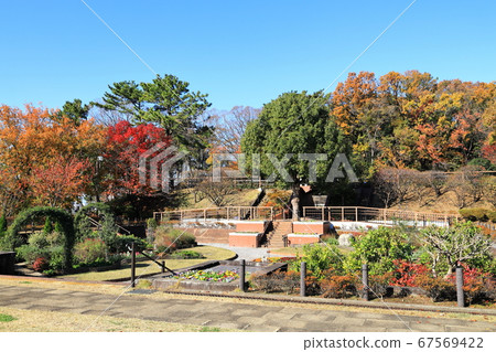 Tamagawadai Park Autumn Foliage Four Seasons Wildflower Garden Ota Ward, Tokyo 67569422