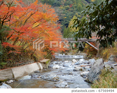 Autumn leaves of Kiyotaki 67569494