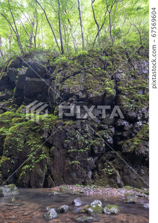 Fresh green and clear stream of Fudo Falls Fresh green and clear stream of Fudo Falls 67569604