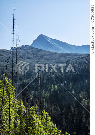 Krivan peak, High Tatras mountains, Slovakia, 67569983