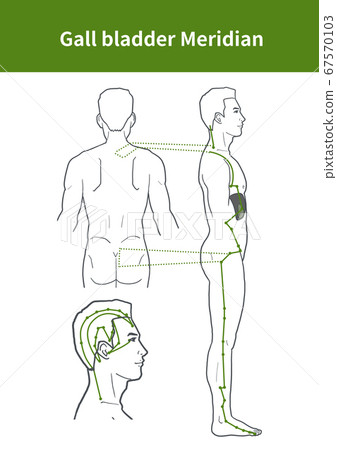 Jokyangdam meridian illustration 67570103