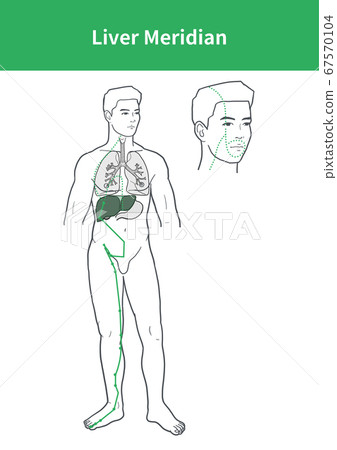 Jokwol meridian illustration 67570104