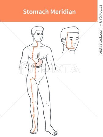 Pole foot meridian illustration 67570112