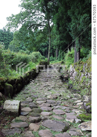 Heisenji Hakusan Shrine after the rain Hakusan Heisenji Former grounds (Katsuyama City, Fukui Prefecture) 67570393