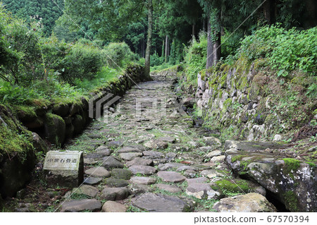 Heisenji Hakusan Shrine after the rain Hakusan Heisenji Former grounds (Katsuyama City, Fukui Prefecture) 67570394