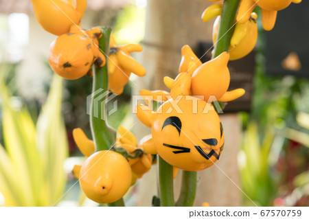 Decorated foxes Decorated foxes 67570759