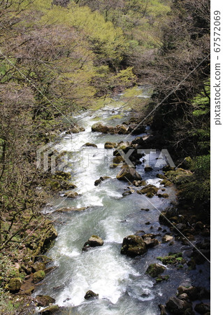 Clear stream Clear stream 67572069