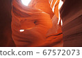 Antelope 67572073
