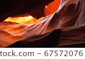 Antelope 67572076