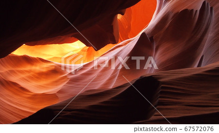 Antelope 67572076