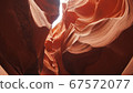 Antelope 67572077